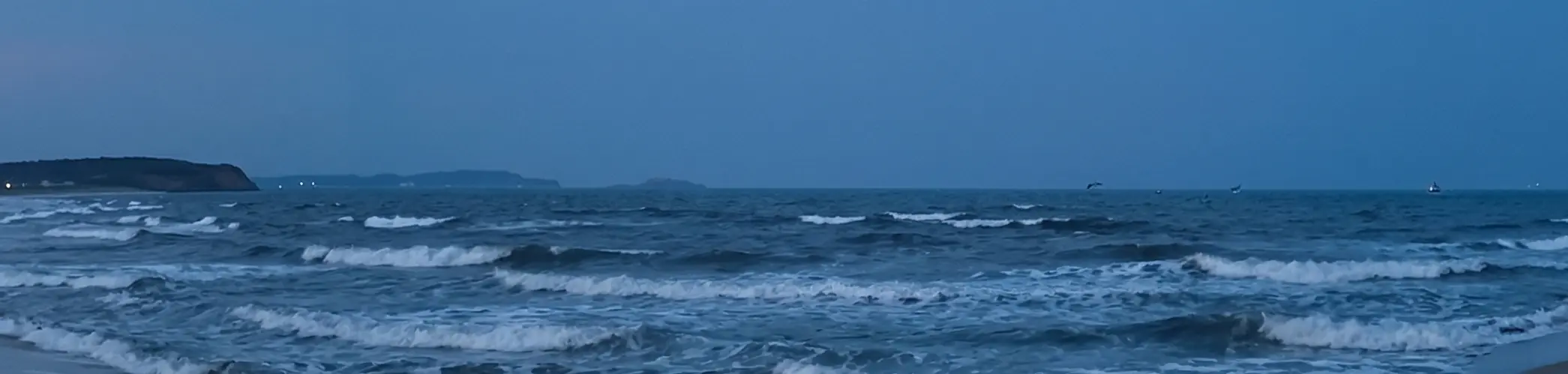 Cover Photo